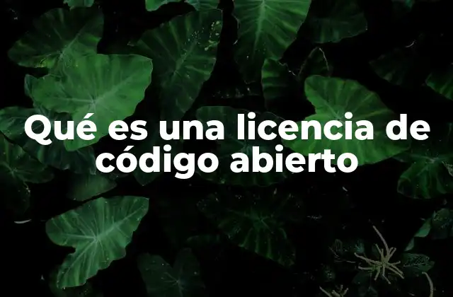 Qué es una Licencia de Código Abierto