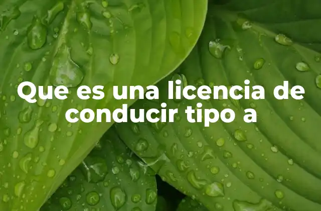 Que es una Licencia de Conducir Tipo a