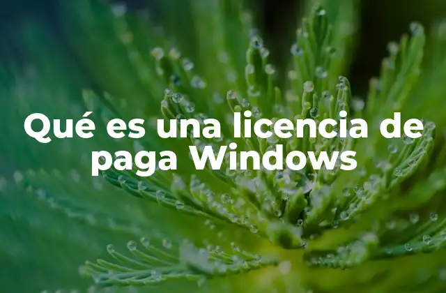 Qué es una Licencia de Paga Windows