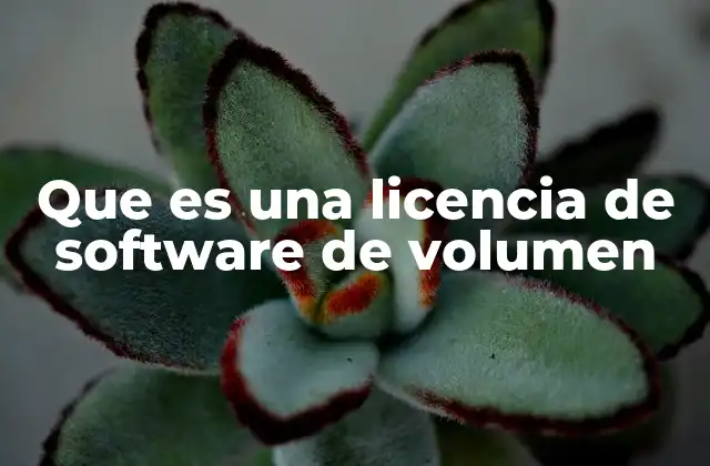 Que es una Licencia de Software de Volumen