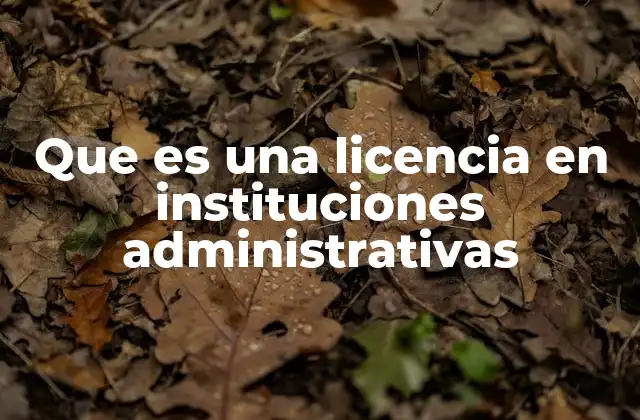 Que es una Licencia en Instituciones Administrativas 2 La importancia de las licencias en el marco legal público