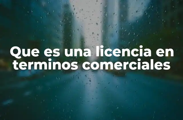 Que es una Licencia en Terminos Comerciales