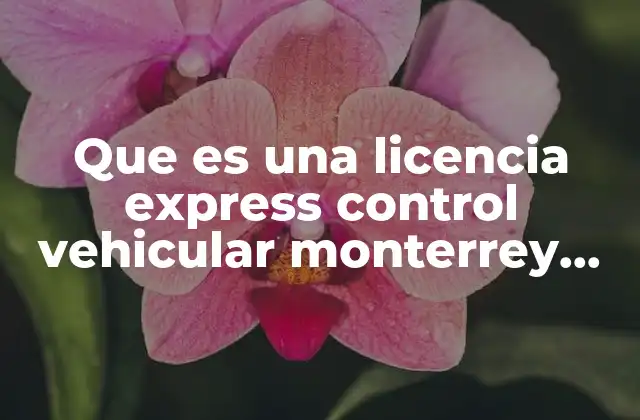 Que es una Licencia Express Control Vehicular Monterrey 2017