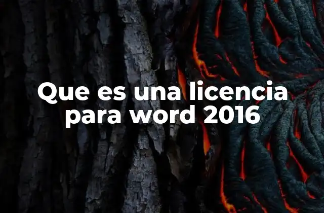 Que es una Licencia para Word 2016