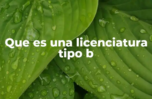 Que es una Licenciatura Tipo B