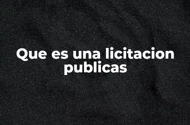 Que es una Licitacion Publicas