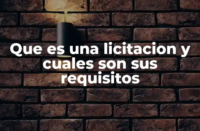 Que es una Licitacion y Cuales Son Sus Requisitos