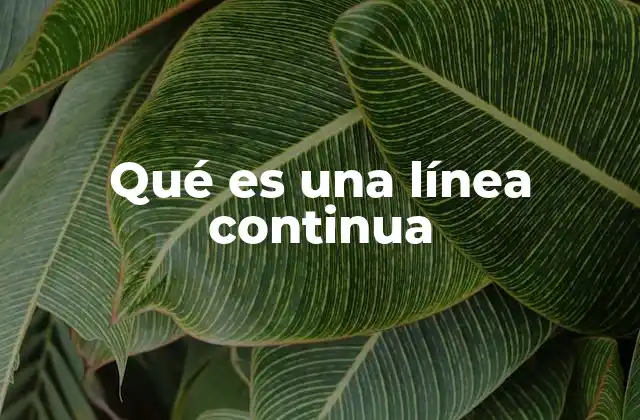 Características y propiedades de una línea continua