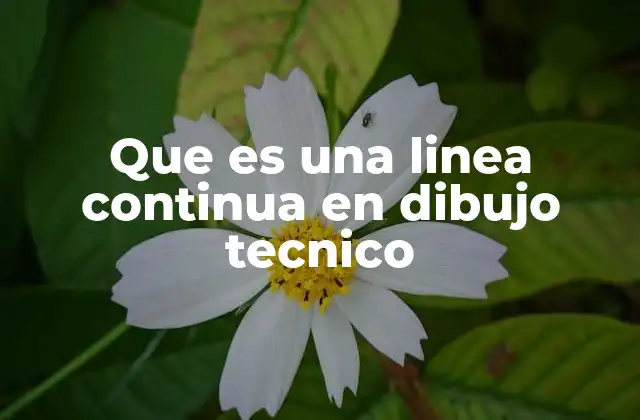Que es una Linea Continua en Dibujo Tecnico