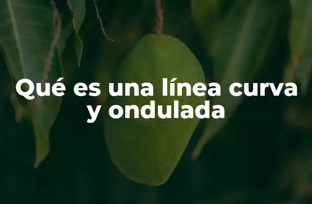 Qué es una Línea Curva y Ondulada