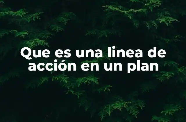 Que es una Linea de Acción en un Plan