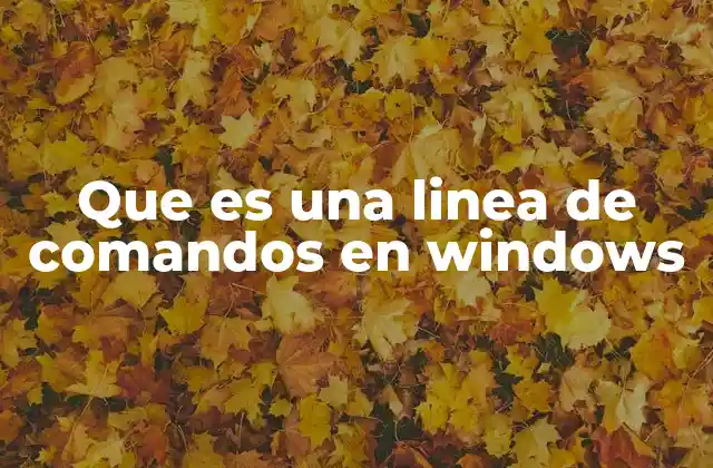 Que es una Linea de Comandos en Windows