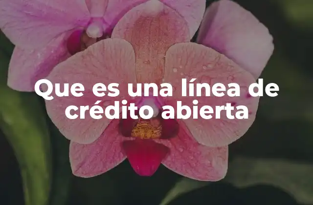 Que es una Línea de Crédito Abierta