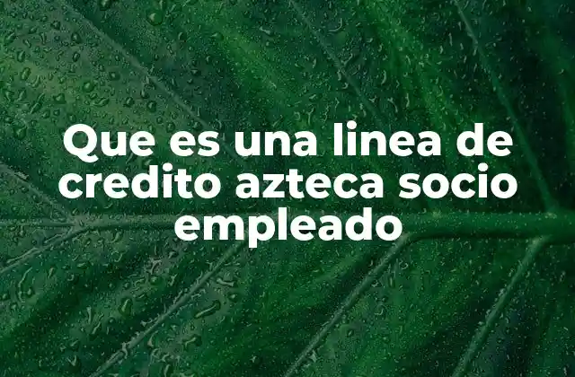 Que es una Linea de Credito Azteca Socio Empleado 2 La relación entre empleo y acceso al crédito