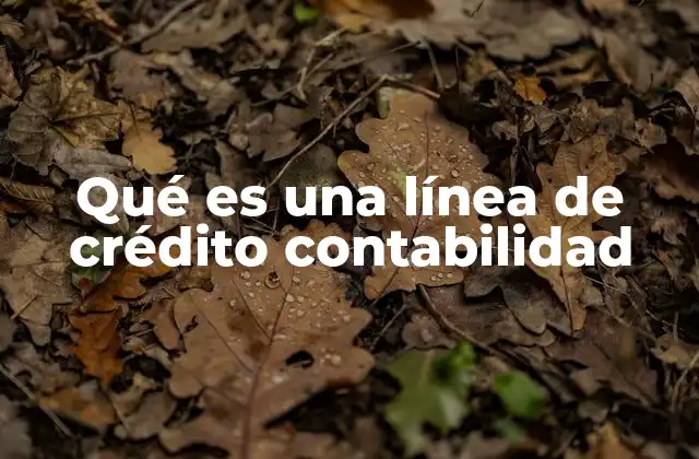 Qué es una Línea de Crédito Contabilidad 2 La importancia de registrar una línea de crédito en la contabilidad
