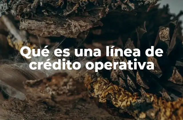 Qué es una Línea de Crédito Operativa