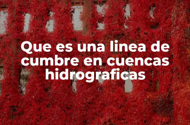 Que es una Linea de Cumbre en Cuencas Hidrograficas