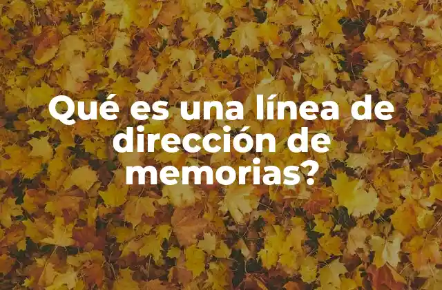 Qué es una Línea de Dirección de Memorias?