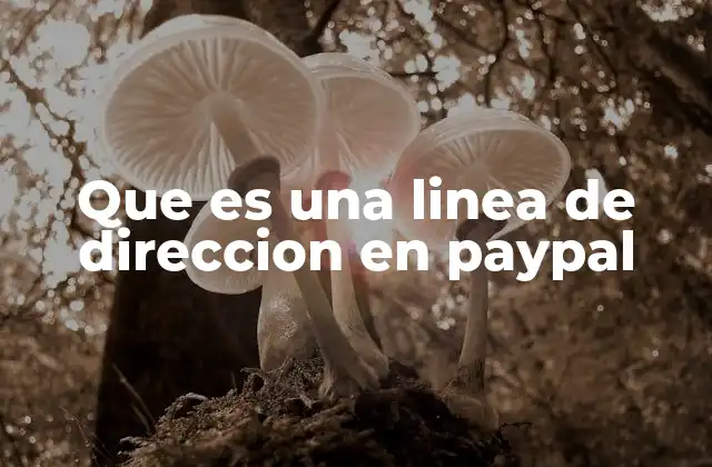 Que es una Linea de Direccion en Paypal