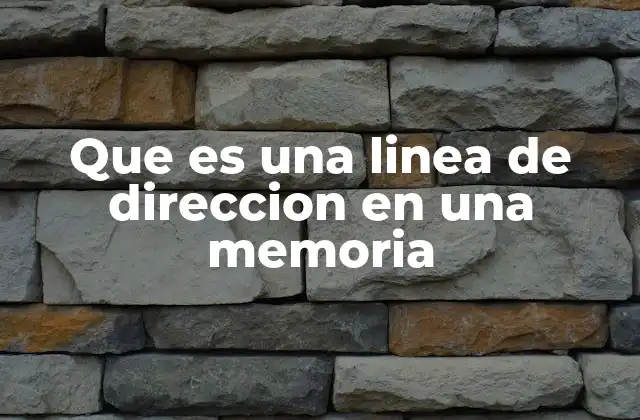 Que es una Linea de Direccion en una Memoria