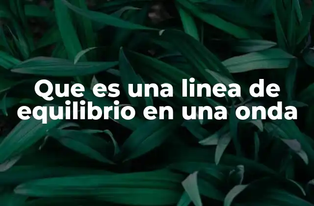 Que es una Linea de Equilibrio en una Onda