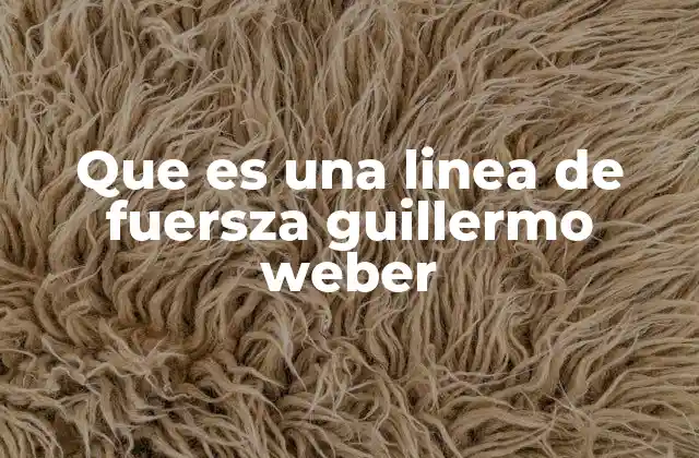 Que es una Linea de Fuersza Guillermo Weber