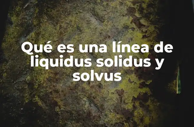 Qué es una Línea de Liquidus Solidus y Solvus 2 El papel de las líneas en los diagramas de fases