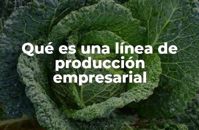 Qué es una Línea de Producción Empresarial