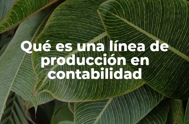 Qué es una Línea de Producción en Contabilidad