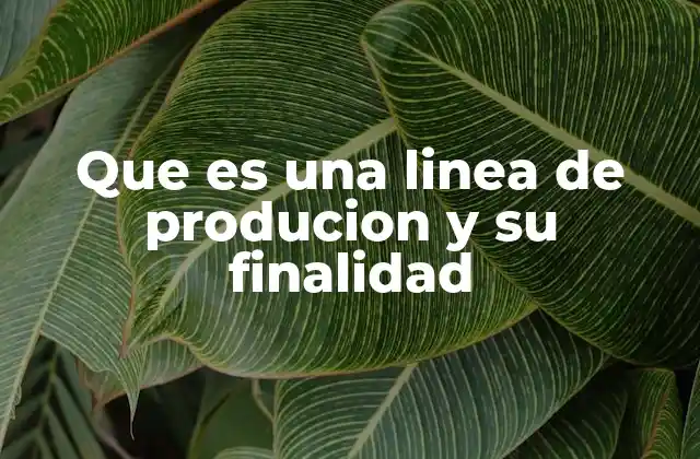 Que es una Linea de Producion y Su Finalidad