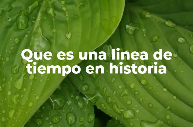 Que es una Linea de Tiempo en Historia