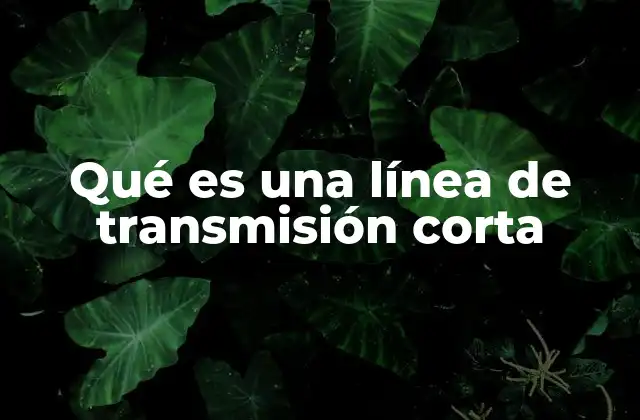 Qué es una Línea de Transmisión Corta