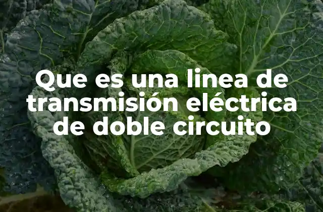 Características técnicas de las líneas de doble circuito