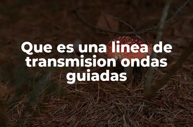 Que es una Linea de Transmision Ondas Guiadas