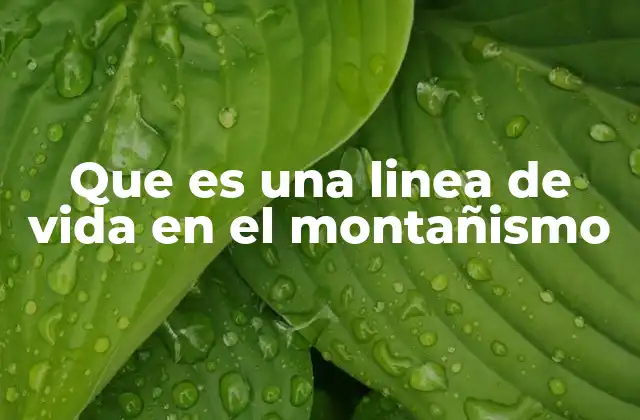 Que es una Linea de Vida en el Montañismo