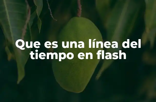 Que es una Línea Del Tiempo en Flash