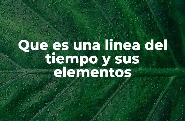 Que es una Linea Del Tiempo y Sus Elementos 2 La importancia de visualizar el tiempo en educación