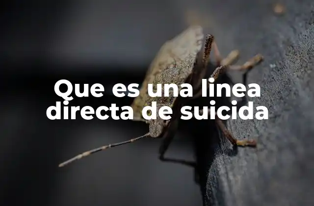 Que es una Linea Directa de Suicida
