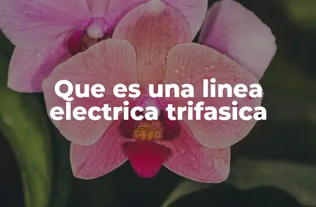 Que es una Linea Electrica Trifasica 2 Sistemas de distribución eléctrica y la importancia de la trifasica