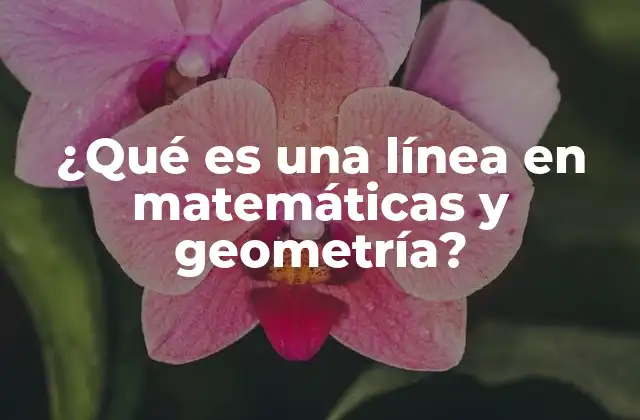 ¿qué es una Línea en Matemáticas y Geometría?