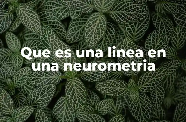 Que es una Linea en una Neurometria