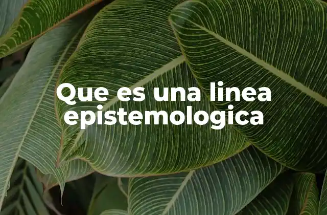 Diferentes enfoques epistemológicos en la historia