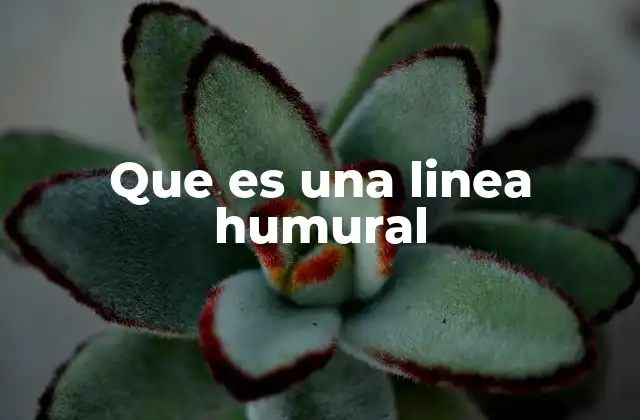 Que es una Linea Humural