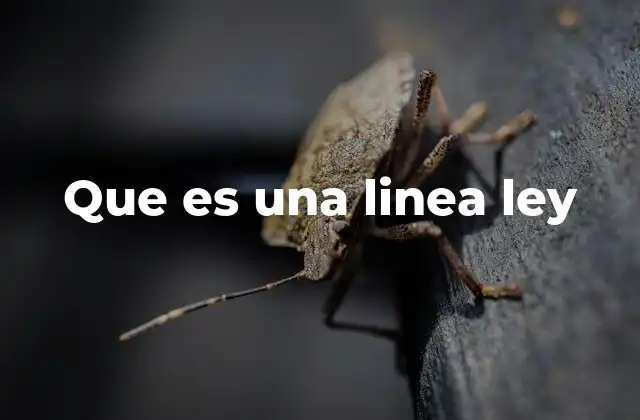 Que es una Linea Ley