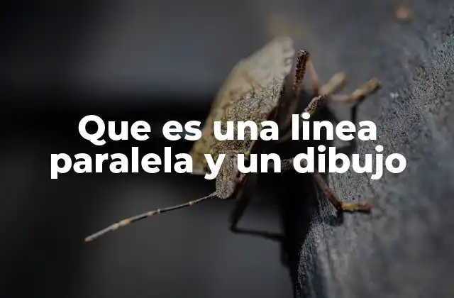 Que es una Linea Paralela y un Dibujo
