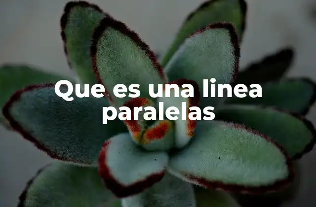 Que es una Linea Paralelas