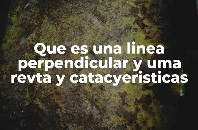 Que es una Linea Perpendicular y Uma Revta y Catacyeristicas