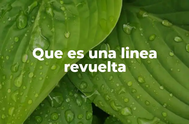 Que es una Linea Revuelta