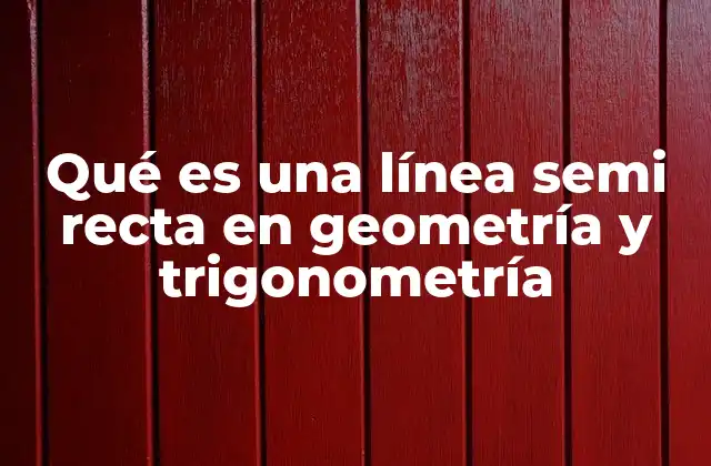 Qué es una Línea Semi Recta en Geometría y Trigonometría