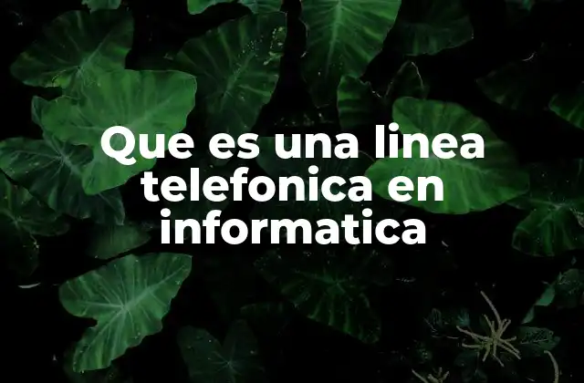 Que es una Linea Telefonica en Informatica